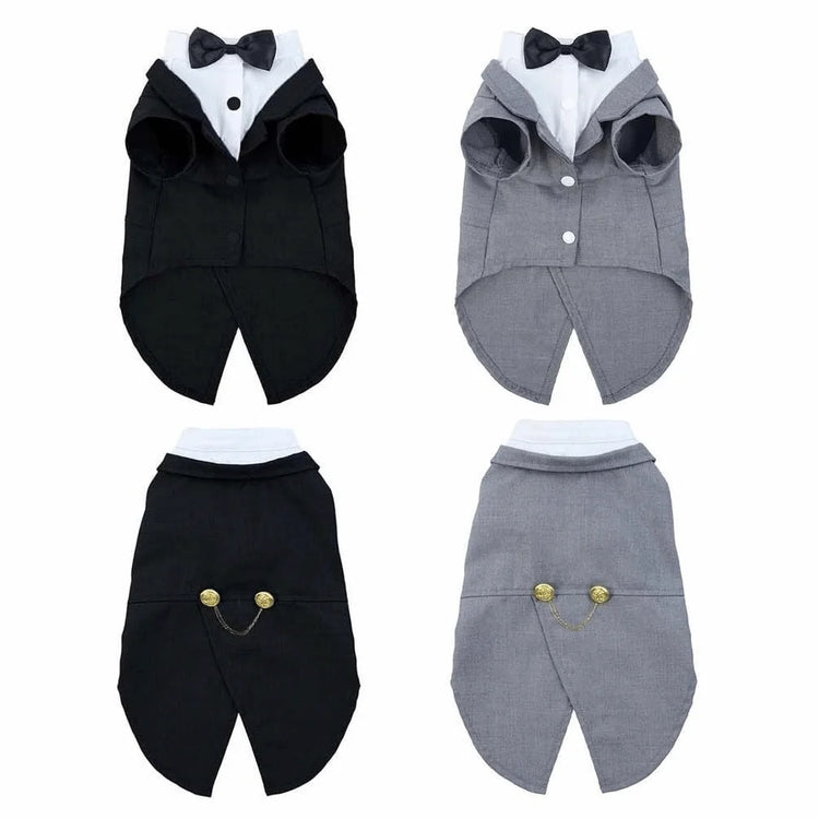 Cute cat clothing from a modern cat shop