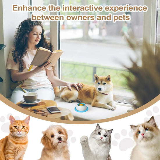 Dog Slow Feeder Puzzle Bowl