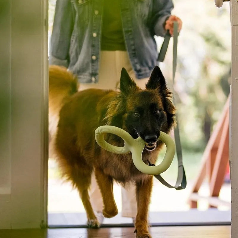 Pet supplies Dog Toy Best-selling Pet Chew and Tug Toys Dog Tug Toys TPR Material Rubber Material