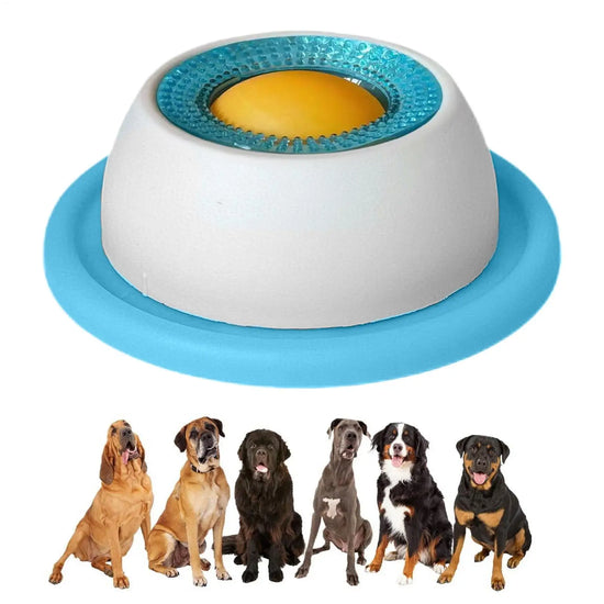 Dog Slow Feeder Puzzle Bowl