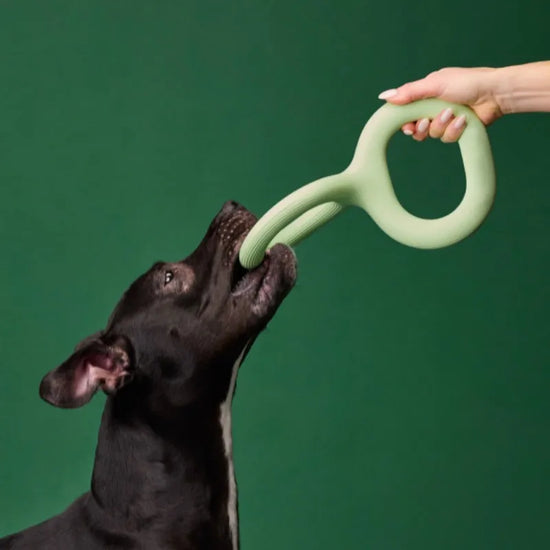 Dog Chew Tug Toy