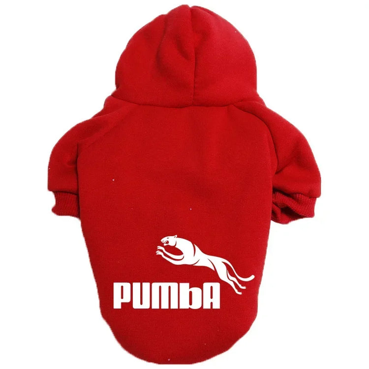 Stylish pet hoodie for everyday wear
