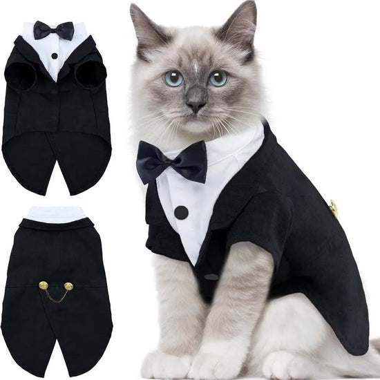 Formal cat shirt vest for cat birthday outfit