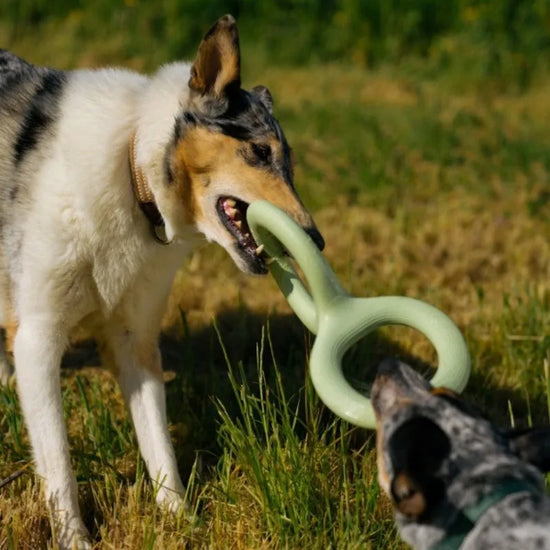 Dog Chew Tug Toy