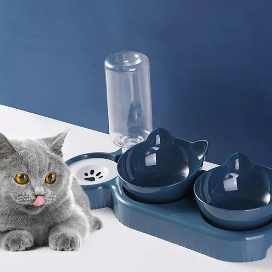 Automatic Pet Food Water Bowl